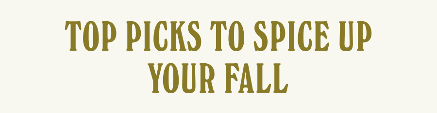 Top Picks To Spice Up Your Fall