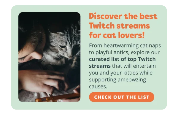 **Discover the best Twitch streams for cat lovers!**  From heartwarming cat naps to playful antics, explore our curated list of top Twitch streams that will entertain you and your kitties while supporting ameowzing causes. Check out the list.