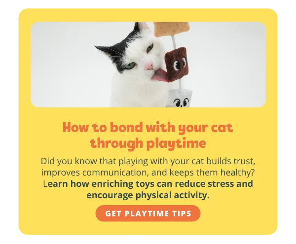 How to bond with your cat through playtime. Did you know that playing with your cat builds trust, improves communication, and keeps them healthy? Learn how enriching toys can reduce stress and encourage physical activity. Get playtime tips.
