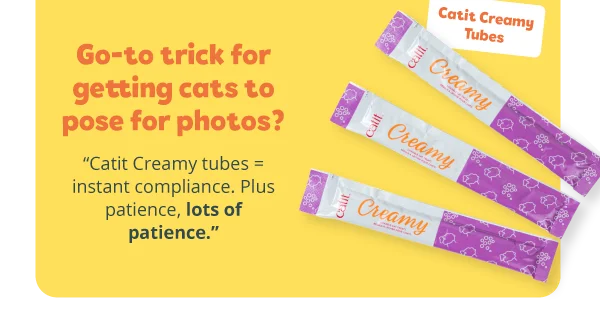 **Go-to trick for getting cats to pose for photos?**  "Catit Creamy tubes = instant compliance. Plus patience, lots of patience."