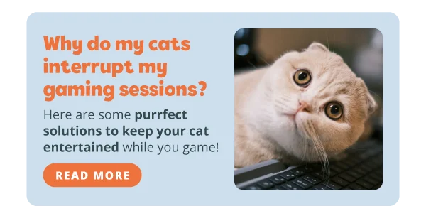 **Why do my cats interrupt my gaming sessions?**  Here are some purrfect solutions to keep your cat entertained while you game! Read more.