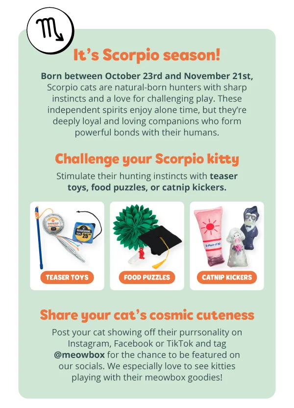 **It’s Scorpio season!**  Born between October 23rd and November 21st, Scorpio cats are natural-born hunters with sharp instincts and a love for challenging play. These independent spirits enjoy alone time, but they’re deeply loyal and loving companions who form powerful bonds with their humans. Challenge your Scorpio kitty. Stimulate their hunting instincts with teaser toys, food puzzles, or ca Image of teaser toys, food puzzles and catnip kickers below. **Share your cat’s cosmic cuteness**  Post your cat ****showing off their purrsonality ****on Instagram, Facebook or TikTok and tag @meowbox for the chance to be featured on our socials. We especially love to see kitties playing with their meowbox goodies!