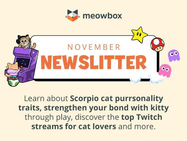 November Newslitter! Learn about Scorpio cat purrsonality traits, strengthen your bond with kitty through play, discover the top Twitch streams for cat lovers and more.