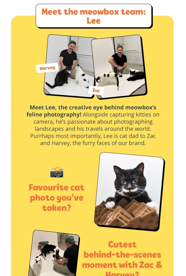 **Meet the meowbox team:** Lee! Meet Lee, the creative eye behind meowbox’s feline photography! Alongside capturing kitties on camera, he’s passionate about photographing landscapes and his travels around the world. Purrhaps most importantly, Lee is cat dad to Zac and Harvey, the furry faces of our brand. Favourite cat photo you’ve taken? Cutest behind-the-scenes moment with Zac and Harvey?