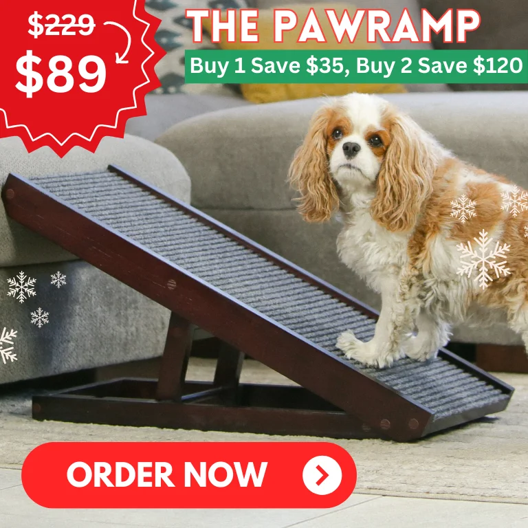 Pawramp Pawlidays
