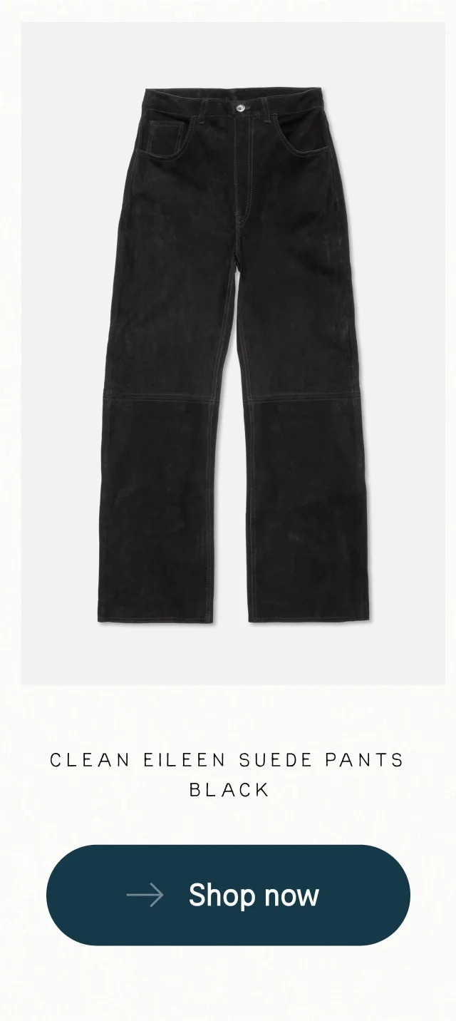 Clean Eileen Suede Pants Black