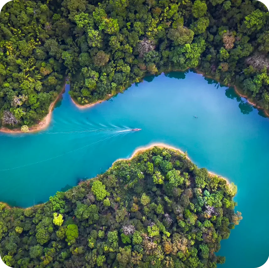 Ariel view of the Amazon in Brazil