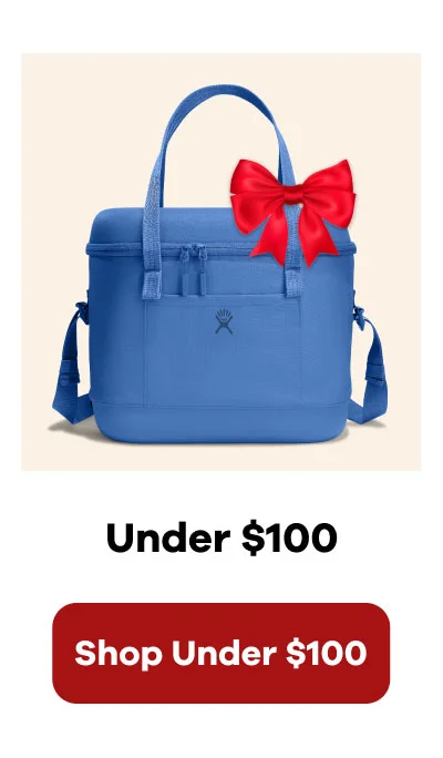 Under $100 | Shop Under $100