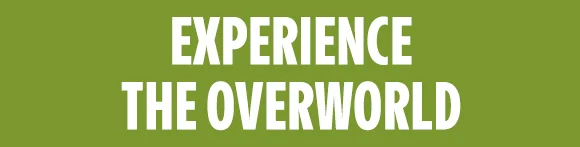 EXPERIENCE THE OVERWORLD