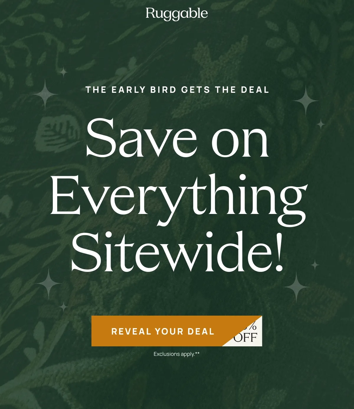 Shop Now