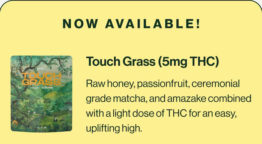 Touch Grass