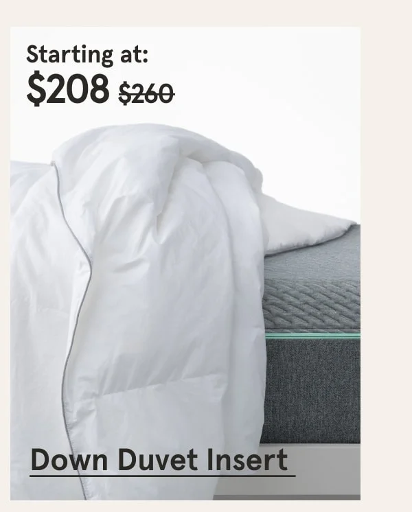 Down Duvet Insert