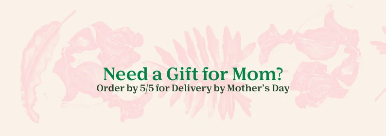 shop mother's day gifts by 5/5 for delivery by mother's day