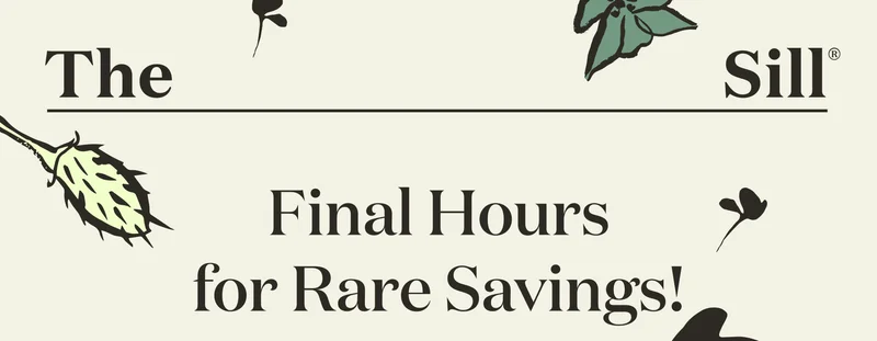 Final Hours for Rare Savings!