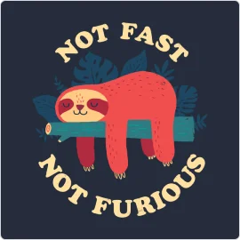 Sloth: Not Fast Not Furious T-Shirt