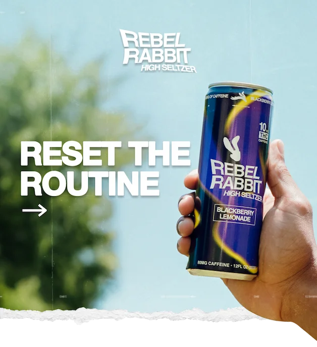 Rebel Rabbit: Reset the Routine