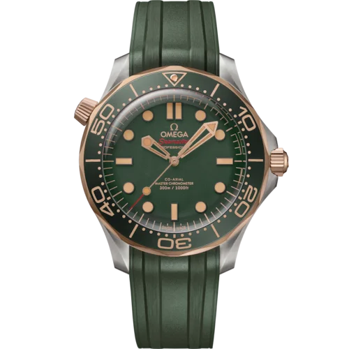 21092422010001 watch