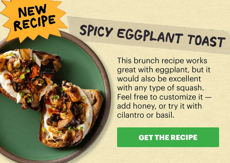 NEW RECIPE! SPICY EGGPLANT TOAST. This brunch recipe works great with eggplant, but it would also be excellent with any type of squash. Feel free to customize it -- add honey, or try it with cilantro or basil. CTA: GET THE RECIPE