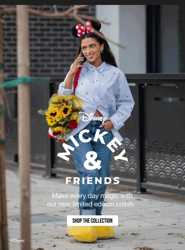 Mickey & Friends Shop Collection
