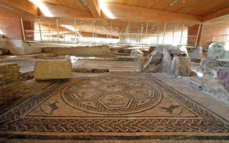 A mosaic of Orpheus ringed by animals paves the floor of what archaeologists believe was the consulting room of the early third-century A.D. Surgeon’s House of Rimini, Italy.