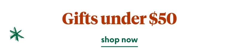 christmas-gifts-under-50