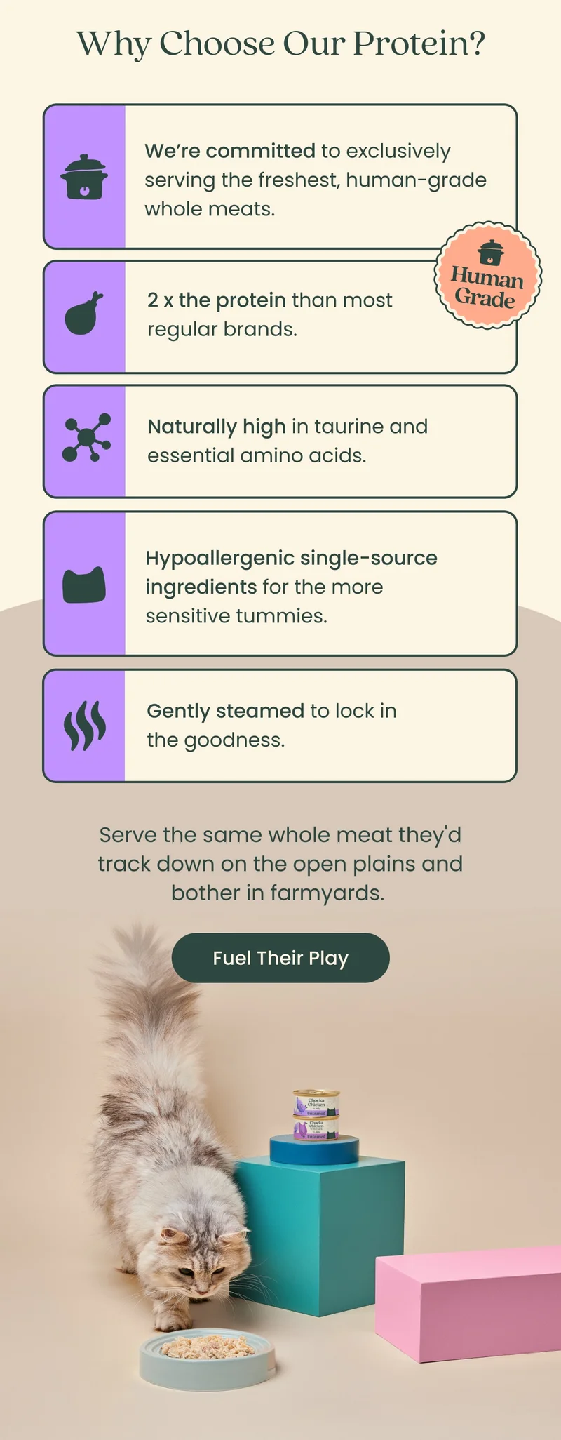 Fuel Their Play