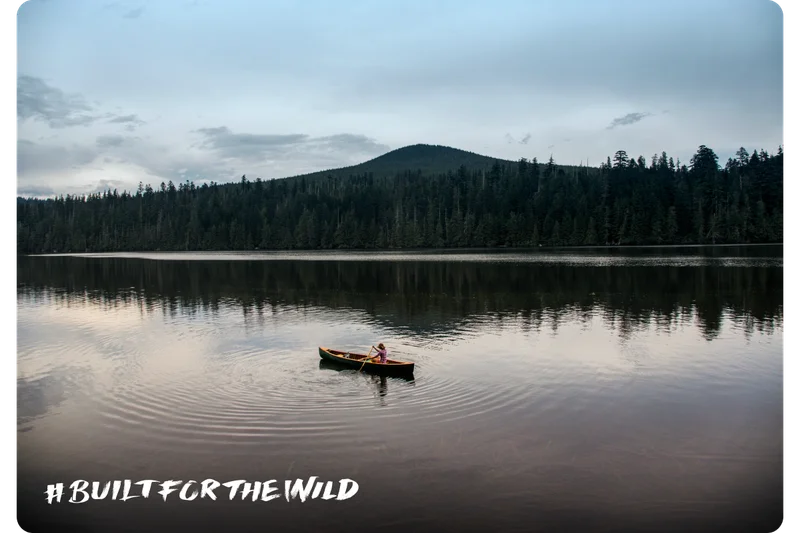 Built For The Wild