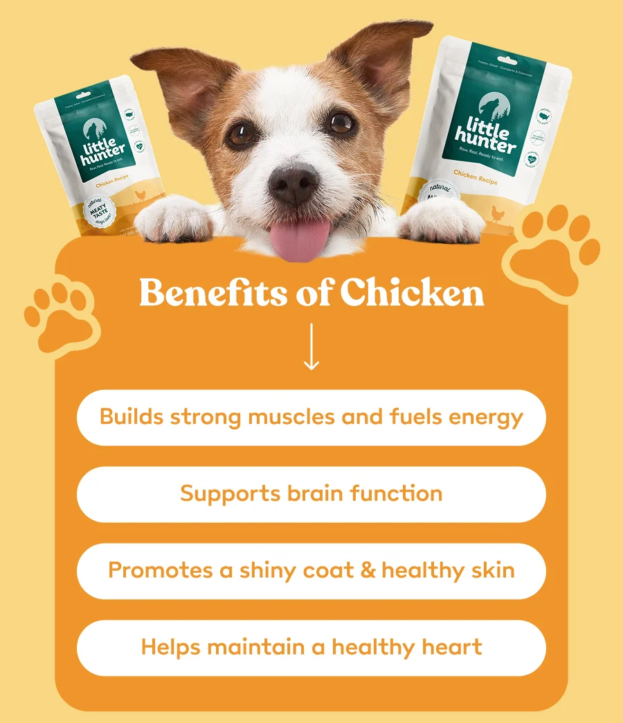 Benefits of Chicken