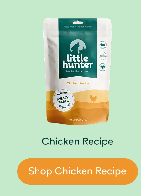 Chicken Recipe