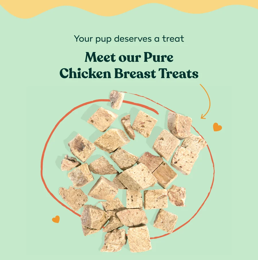 Meet our Pure Chicken Breast Treats