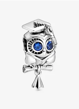 Wise Owl Graduation Charm