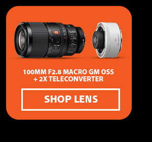 100mm F2.8 Macro GM OSS + 2x Teleconverter | Shop Lens