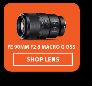 FE 90mm F2.8 Macro G OSS | Shop Lens