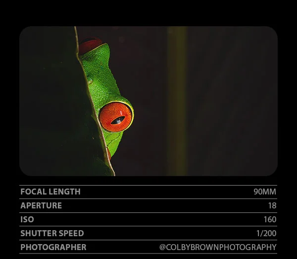 Focal Length 90mm, Aperture 18, ISO 160, Shutter Speed 1/200, Photographer ColbyBrownPhotography