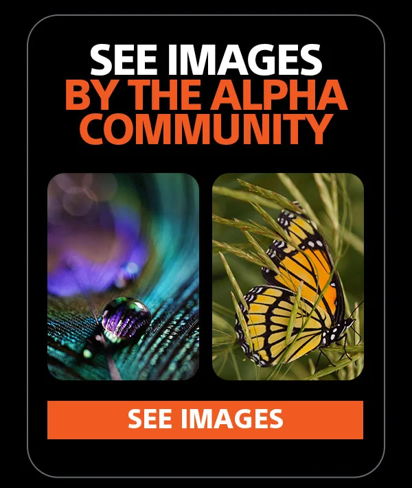 See Images By The Alpha Community | See Images