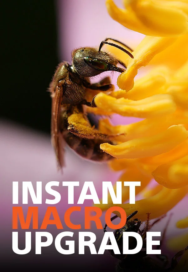 Instant Macro Upgrade