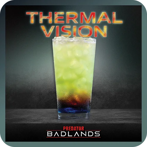 THERMAL VISION