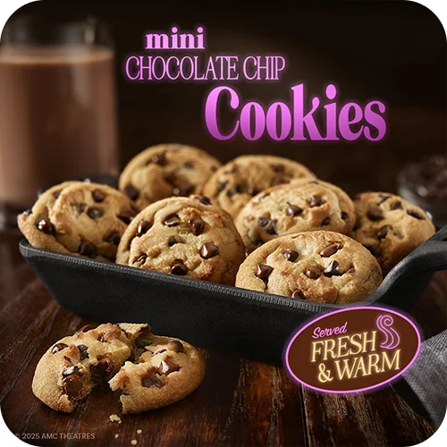 Mini Chocolate Chip Cookies
