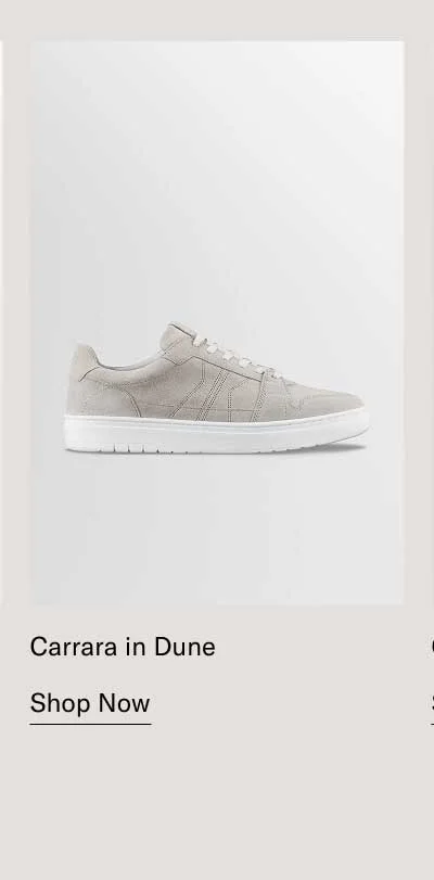 NEW COLOR Carrara in Dune