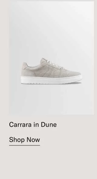 NEW COLOR Carrara in Dune