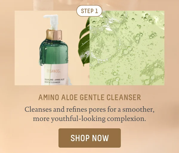 Amino Aloe Gentle Cleanser