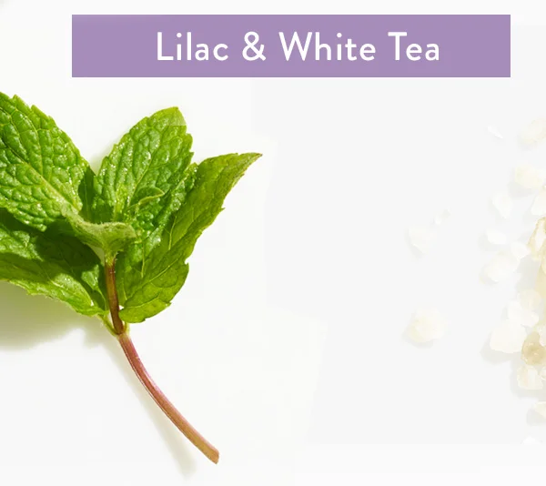 Lilac & White Tea