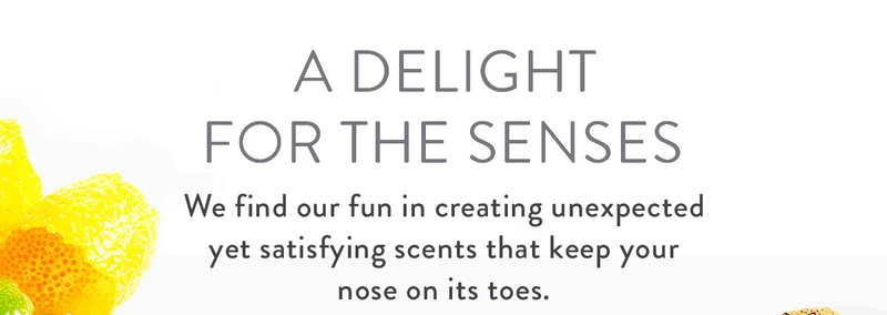A Delight for the Senses | We find our fun in creating unexpected yet satisfying scents that keep your nose on its toes.