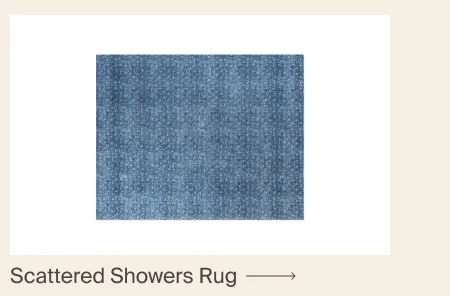 Scattered Showers Rug