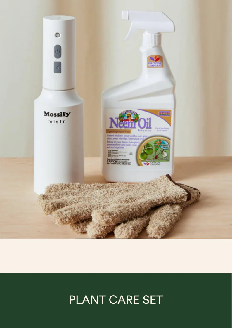 plant care set