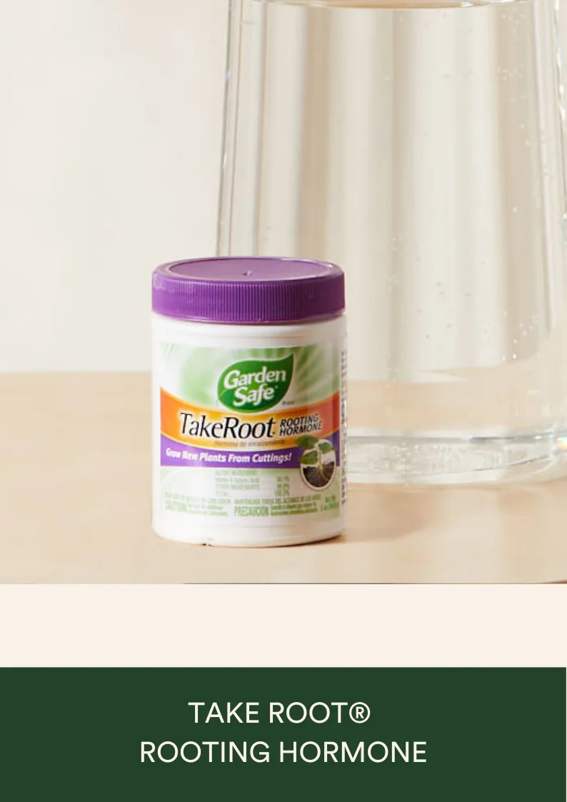 take root® rooting hormone