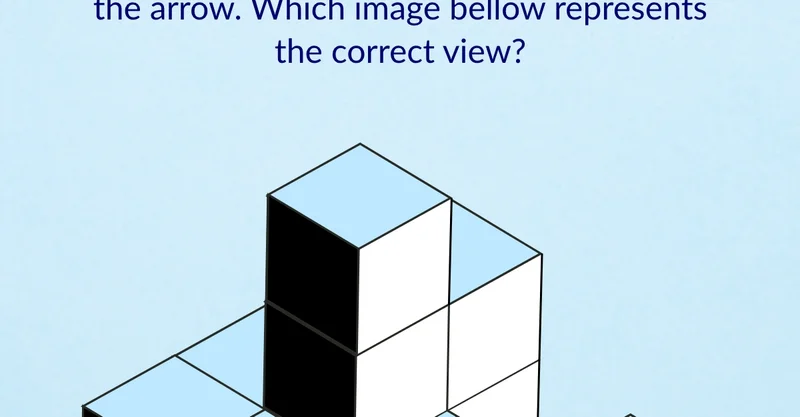 Which image below represents the correct view?