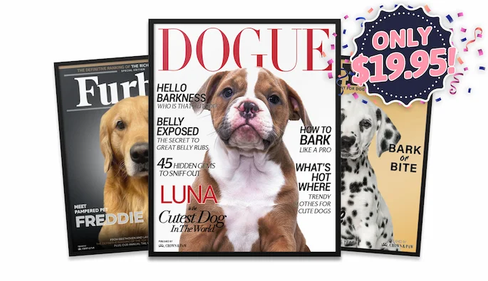 DOGUE, Furbes and Playdog custom pet posters