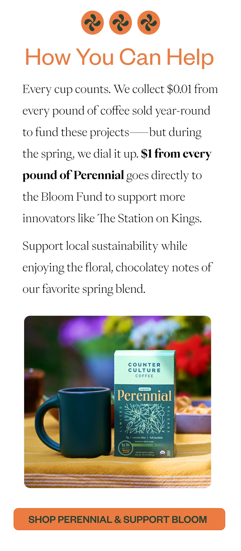 How you can Help  Every cup counts. We collect $0.01 from every pound of coffee sold year-round to fund these projects—but during the spring, we dial it up. $1 from every bag of Perennial goes directly to the Bloom Fund to support more innovators like The Station on Kings. Support local sustainability while enjoying the floral, chocolatey notes of our favorite spring blend. CTA: Shop Perennial & Support Bloom