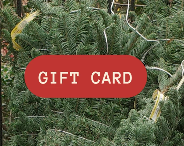 GIFT CARD